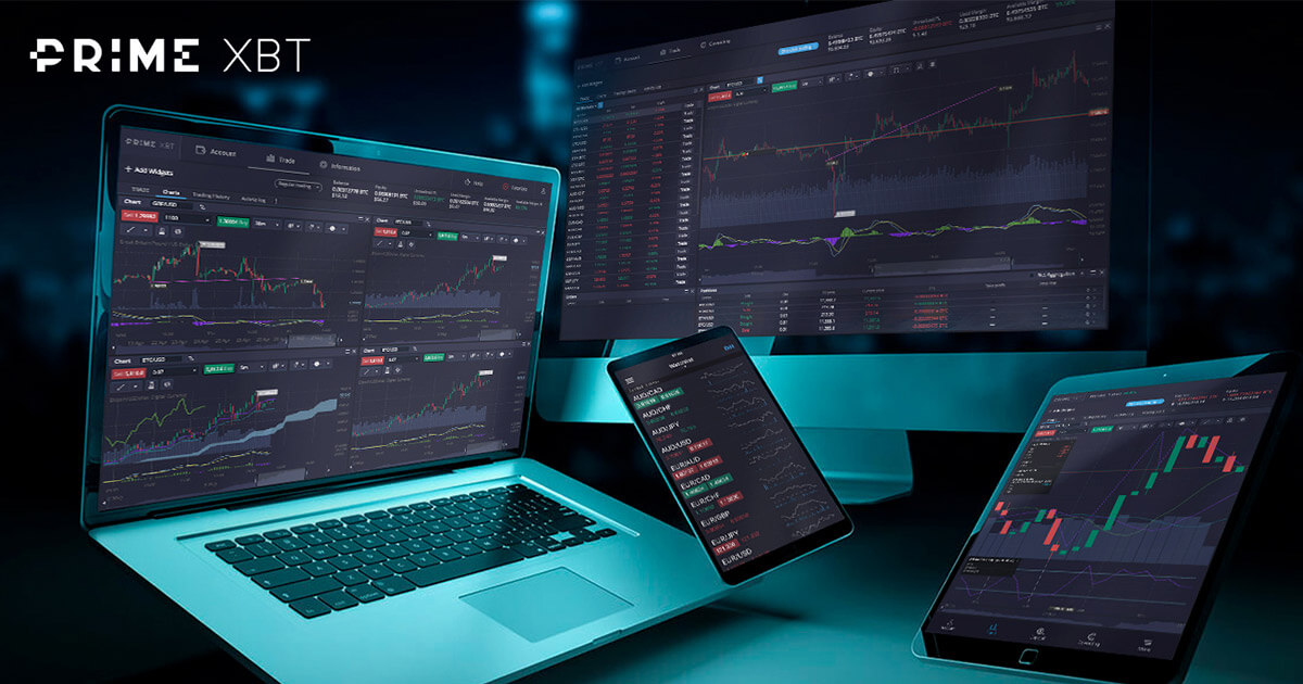 Comprehensive Reviews PrimeXBT Insights into the Trading Platform