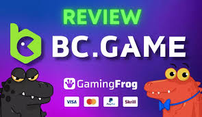Discovering the BC.Game Mirror Sites