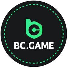 Exploring the Vibrant World of BC Fun Top